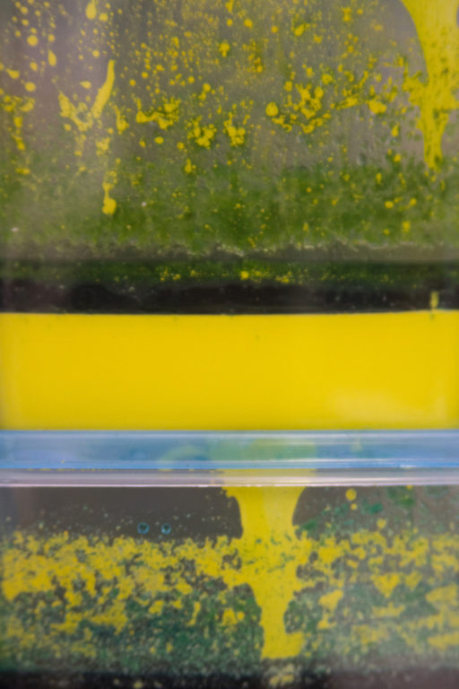 Nehaňte ľud môj; foto Martin Kleibl